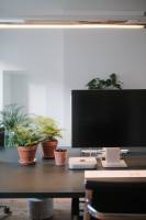 Alexandre MARCHAL - ARRIERE COUR I ARCHITECTURE