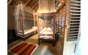 Coline MARGUIN - COLORAMA DESIGN